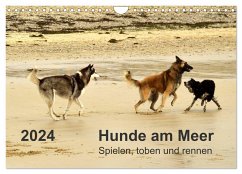 Hunde am Meer - Spielen, toben und rennen (Wandkalender 2024 DIN A4 quer), CALVENDO Monatskalender - Walter, Dirk