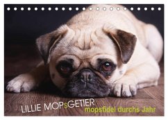 Lillie Mopsgetier - mopsfidel durchs Jahr (Tischkalender 2024 DIN A5 quer), CALVENDO Monatskalender