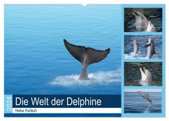 Die Welt der Delphine (Wandkalender 2024 DIN A2 quer), CALVENDO Monatskalender