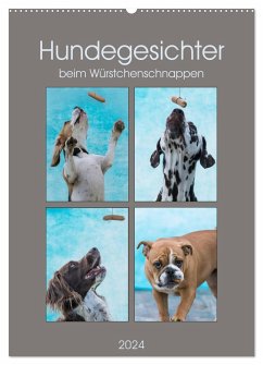 Hundegesichter beim Würstchenschnappen (Wandkalender 2024 DIN A2 hoch), CALVENDO Monatskalender