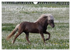Islandpferdehof Buchenthal (Wandkalender 2024 DIN A4 quer), CALVENDO Monatskalender - Ascher, Franziska