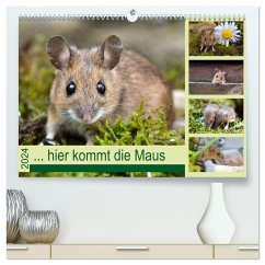... hier kommt die Maus ... (hochwertiger Premium Wandkalender 2024 DIN A2 quer), Kunstdruck in Hochglanz - Gugigei