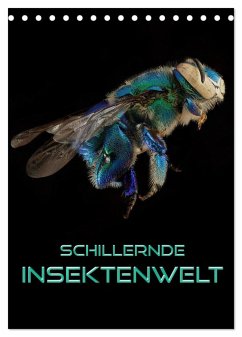 Schillernde Insektenwelt (Tischkalender 2024 DIN A5 hoch), CALVENDO Monatskalender