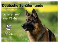 Deutsche Schäferhunde - Senioren auf vier Pfoten (Wandkalender 2024 DIN A3 quer), CALVENDO Monatskalender