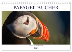 Papageitaucher: Clowns des Nordatlantik (Wandkalender 2024 DIN A4 quer), CALVENDO Monatskalender
