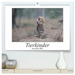 Tierkinder aus aller Welt (hochwertiger Premium Wandkalender 2024 DIN A2 quer), Kunstdruck in Hochglanz