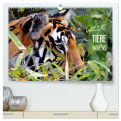 Wilde Tiere Indiens (hochwertiger Premium Wandkalender 2024 DIN A2 quer), Kunstdruck in Hochglanz