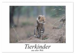 Tierkinder aus aller Welt (Wandkalender 2024 DIN A2 quer), CALVENDO Monatskalender