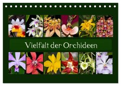 Vielfalt der Orchideen (Tischkalender 2024 DIN A5 quer), CALVENDO Monatskalender