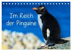 Im Reich der Pinguine (Tischkalender 2024 DIN A5 quer), CALVENDO Monatskalender