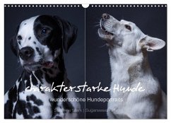 charakterstarke Hunde, wunderschöne Hundeportraits (Wandkalender 2024 DIN A3 quer), CALVENDO Monatskalender - Stark Sugarsweet - Photo, Susanne