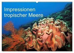 Impressionen tropischer Meere (Wandkalender 2024 DIN A2 quer), CALVENDO Monatskalender