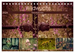 Wildwuchs 2024 (Tischkalender 2024 DIN A5 quer), CALVENDO Monatskalender