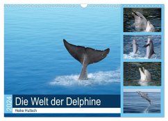 Die Welt der Delphine (Wandkalender 2024 DIN A3 quer), CALVENDO Monatskalender - Hultsch, Heike