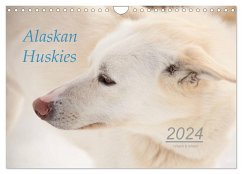 Alaskan Huskies (Wandkalender 2024 DIN A4 quer), CALVENDO Monatskalender