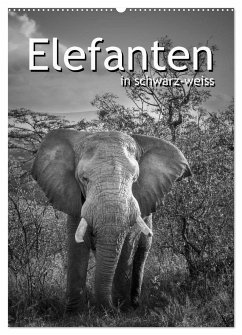 Elefanten in schwarz-weiss (Wandkalender 2024 DIN A2 hoch), CALVENDO Monatskalender