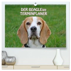 DER BEAGLEige TERMINPLANER (hochwertiger Premium Wandkalender 2024 DIN A2 quer), Kunstdruck in Hochglanz