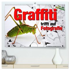 Graffiti trifft auf Fotografie (hochwertiger Premium Wandkalender 2024 DIN A2 quer), Kunstdruck in Hochglanz - KEASTWO Jones, Ralf Wehrle und Uwe Frank, Jonni
