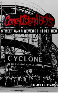 Coney Island Boys-Street Gang Revenge Redefined (eBook, ePUB) - Terlato, John