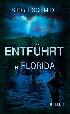 Entführt in Florida (eBook, ePUB) - Schmidt, Birgit