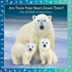 Are There Polar Bears Down There?: The Wildlife of Antarctica