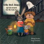 Sally Book Bunny and the Search for the Lost Key: second edition