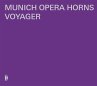 Voyager - Bild 1