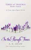 In the Rough Times (Times of Trouble, #3) (eBook, ePUB)