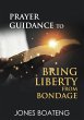Bring liberty from bondage (eBook, ePUB) - Bild 1