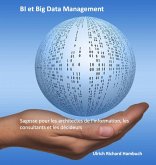 BI et Big Data Management (eBook, ePUB)