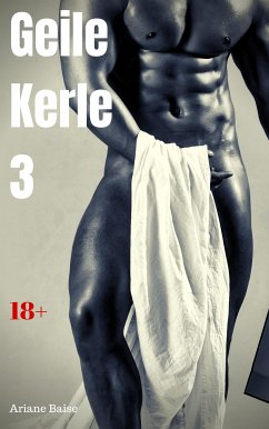 Geile Kerle 3 (eBook, ePUB) - Baise, Ariane