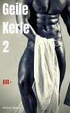 Geile Kerle 2 (eBook, ePUB)