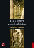 Bajo la sombra de la Historia (eBook, ePUB)