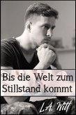 Bis die Welt zum Stillstand kommt (eBook, ePUB)