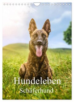 Hundeleben Schäferhund (Wandkalender 2024 DIN A4 hoch), CALVENDO Monatskalender - Schuberts-Fotografie