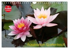 Faszination Gartenteich (Wandkalender 2024 DIN A4 quer), CALVENDO Monatskalender