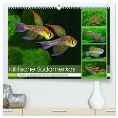 Killifische Südamerikas (hochwertiger Premium Wandkalender 2024 DIN A2 quer), Kunstdruck in Hochglanz