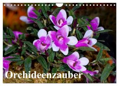 Orchideenzauber (Wandkalender 2024 DIN A4 quer), CALVENDO Monatskalender