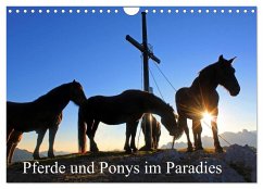 Pferde und Ponys im Paradies (Wandkalender 2024 DIN A4 quer), CALVENDO Monatskalender