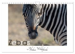 Zebras - Afrikas Wildpferde (Wandkalender 2024 DIN A4 quer), CALVENDO Monatskalender