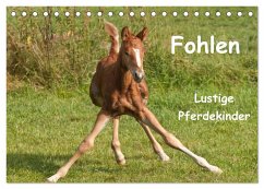 Fohlen - Lustige Pferdekinder (Tischkalender 2024 DIN A5 quer), CALVENDO Monatskalender - Bölts, Meike