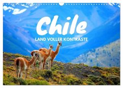 Chile - Land voller Kontraste (Wandkalender 2024 DIN A3 quer), CALVENDO Monatskalender - Tischer, Daniel