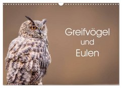 Greifvögel und Eulen (Wandkalender 2024 DIN A3 quer), CALVENDO Monatskalender