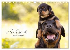 Hunde 2024 - Treue Begleiter (Wandkalender 2024 DIN A3 quer), CALVENDO Monatskalender