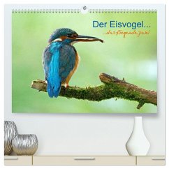 Der Eisvogel...fliegendes Juwel (hochwertiger Premium Wandkalender 2024 DIN A2 quer), Kunstdruck in Hochglanz - Fuchs, Mirko