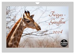 Twigas - Giraffen (Wandkalender 2024 DIN A4 quer), CALVENDO Monatskalender