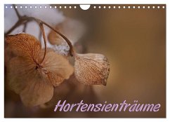 Hortensienträume (Wandkalender 2024 DIN A4 quer), CALVENDO Monatskalender