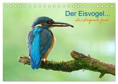 Der Eisvogel...fliegendes Juwel (Tischkalender 2024 DIN A5 quer), CALVENDO Monatskalender - Fuchs, Mirko