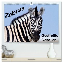 Zebras - Gestreifte Gesellen (hochwertiger Premium Wandkalender 2024 DIN A2 quer), Kunstdruck in Hochglanz