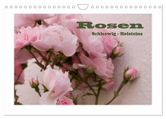 Rosen Schleswig-Holsteins (Wandkalender 2024 DIN A4 quer), CALVENDO Monatskalender